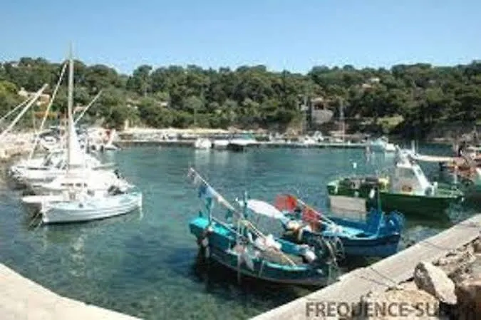 Les Mandariniers