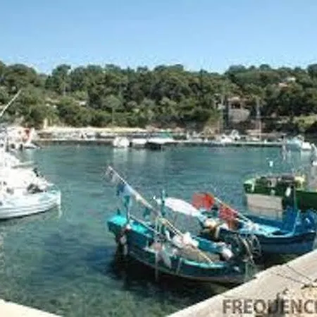 Les Mandariniers