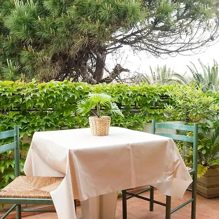 Les Mandariniers Hyeres