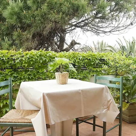 Les Mandariniers Hyeres